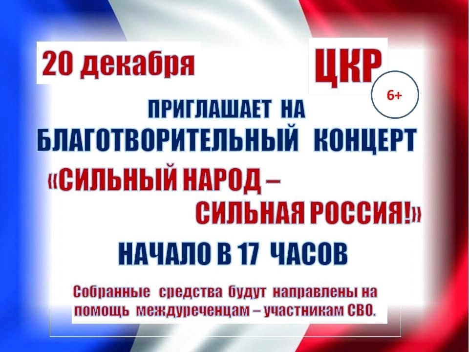 Благотворительный концерт &amp;quot;Сильный народ - сильная Россия&amp;quot;.