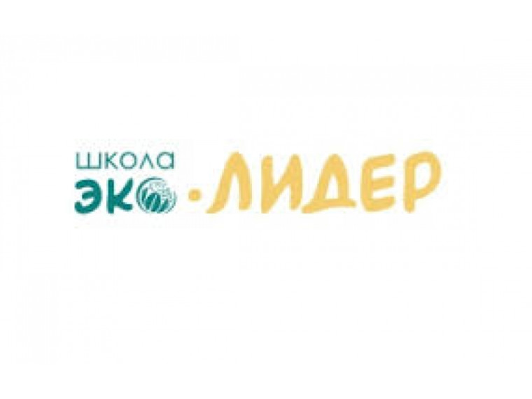 Эколого-просветительский проект «Школа ЭкоЛидер». Эколого-просветительский проект «Школа ЭкоЛидер».