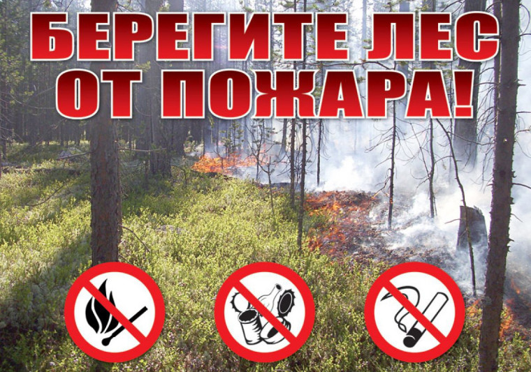 Сохраним лес от пожаров!. Сохраним лес от пожаров!.