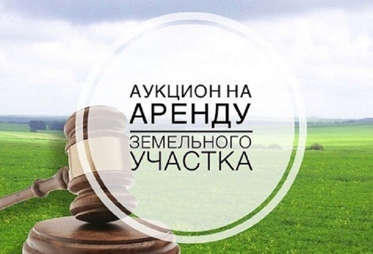 Аукционы по участкам. Аукционы по участкам.
